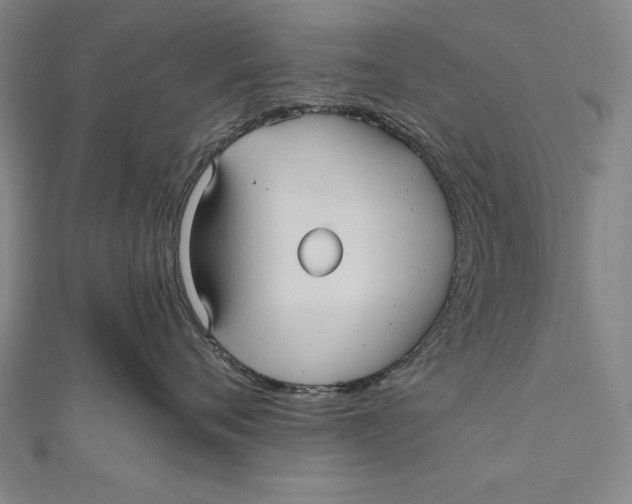 X0000111000720200907101452