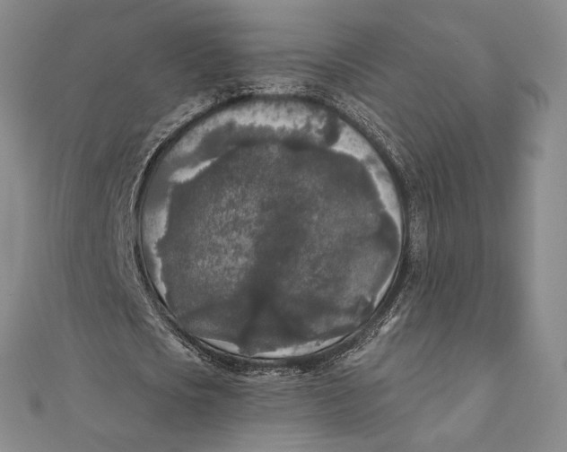 X0000111000721200907101451