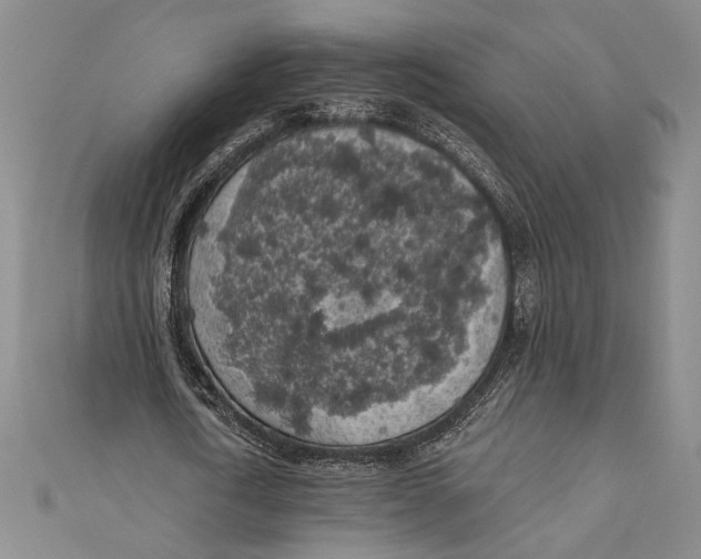 X0000111000722200907101451