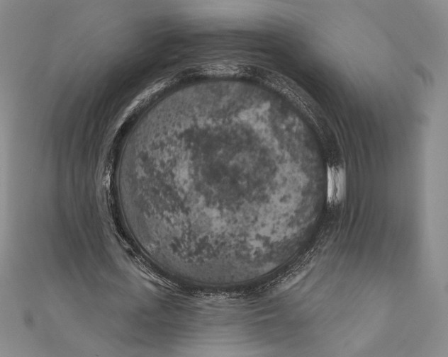 X0000111000723200907101451