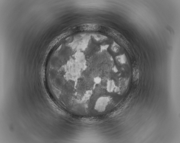 X0000111000725200907101451