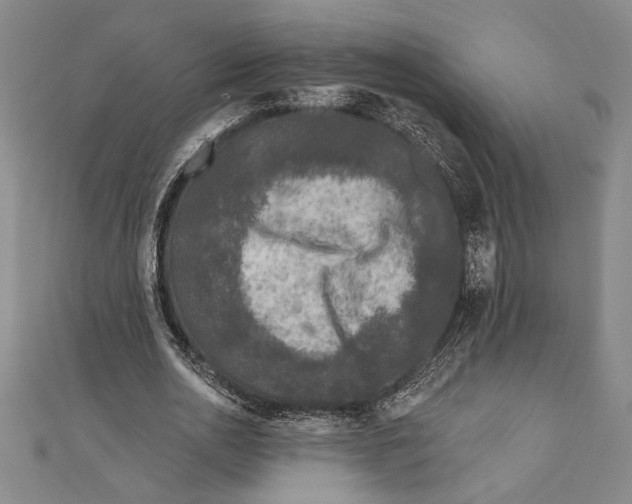 X0000111000726200907101451