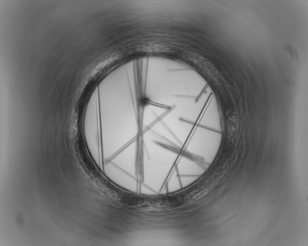 X0000111000727200907101451