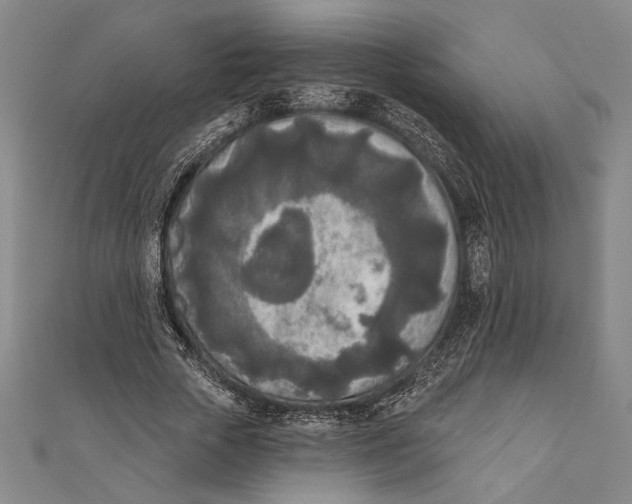 X0000111000729200907101451