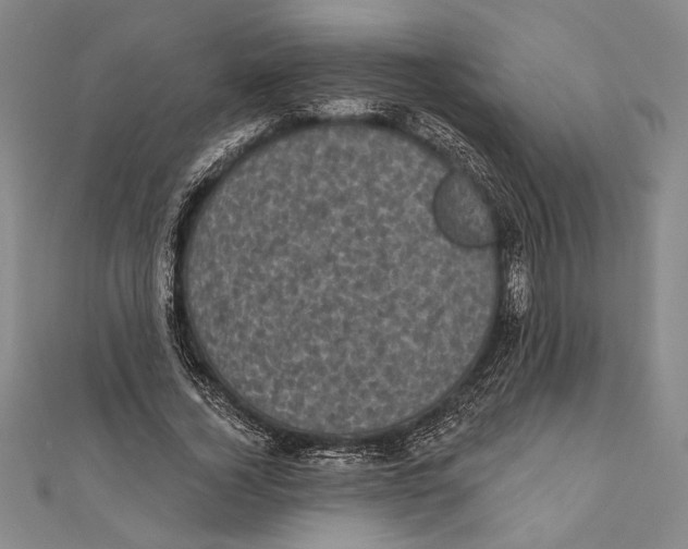 X0000111000732200907101451