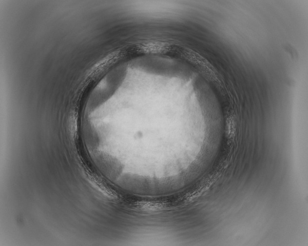 X0000111000733200907101451