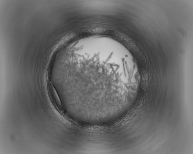 X0000111000734200907101451