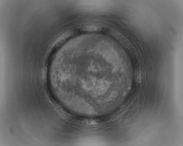 X0000111000735200907101451