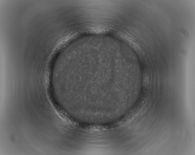 X0000111000736200907101451