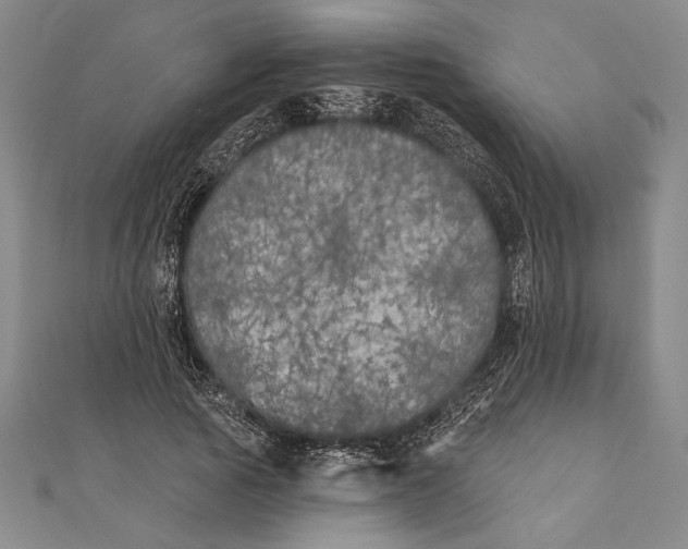 X0000111000737200907101451