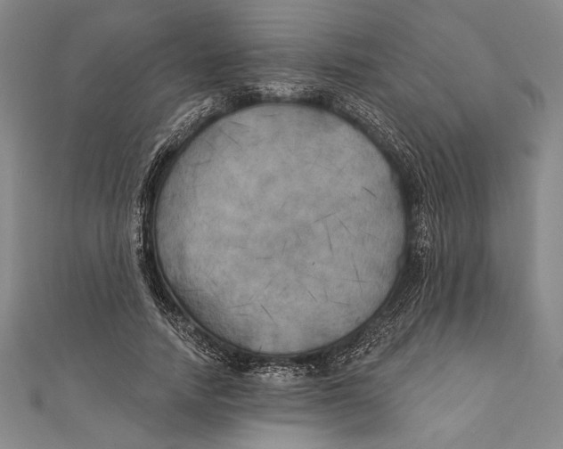 X0000111000738200907101451