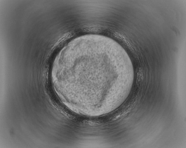 X0000111000739200907101451