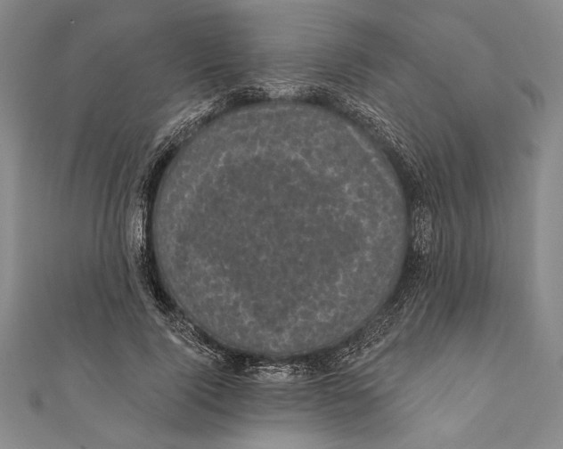 X0000111000740200907101451