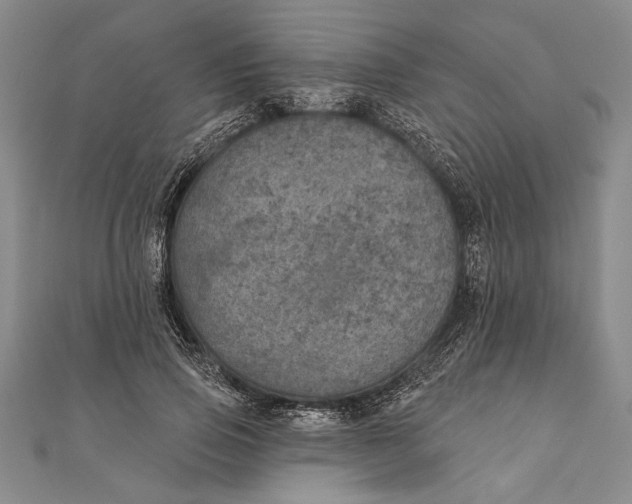 X0000111000741200907101451