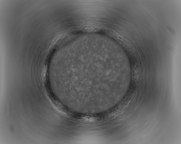 X0000111000742200907101451