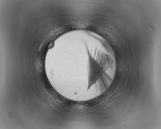 X0000111000743200907101451