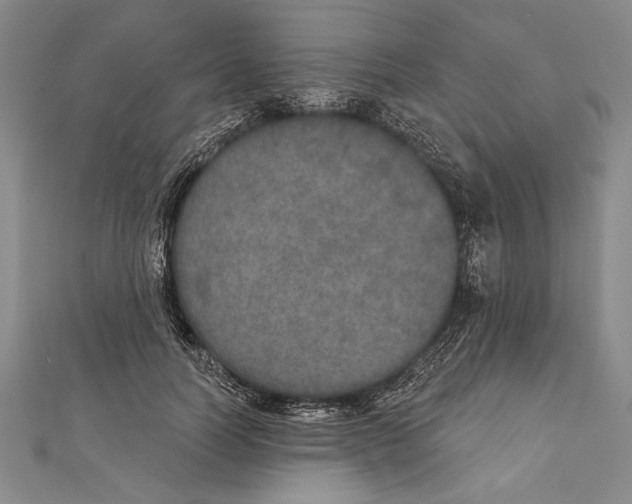 X0000111000746200907101452