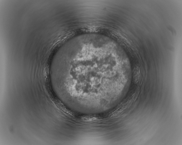 X0000111000747200907101452