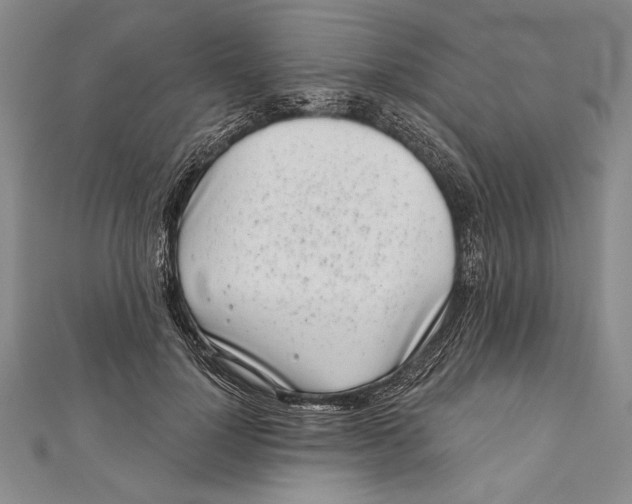 X0000111000748200907101452