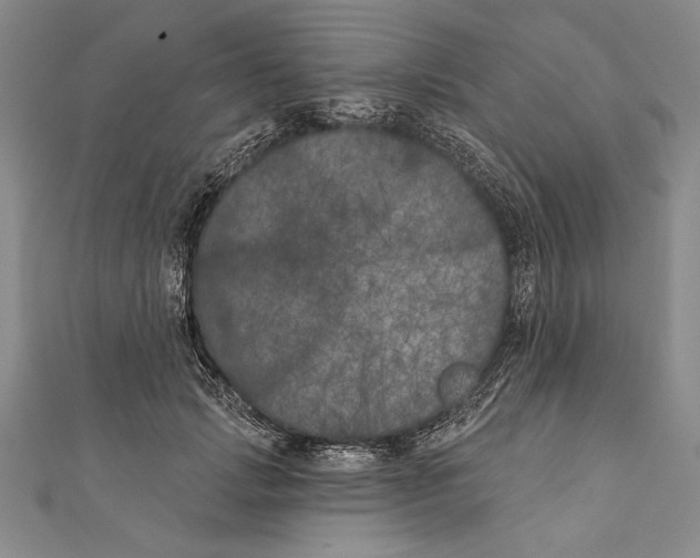 X0000111000749200907101452