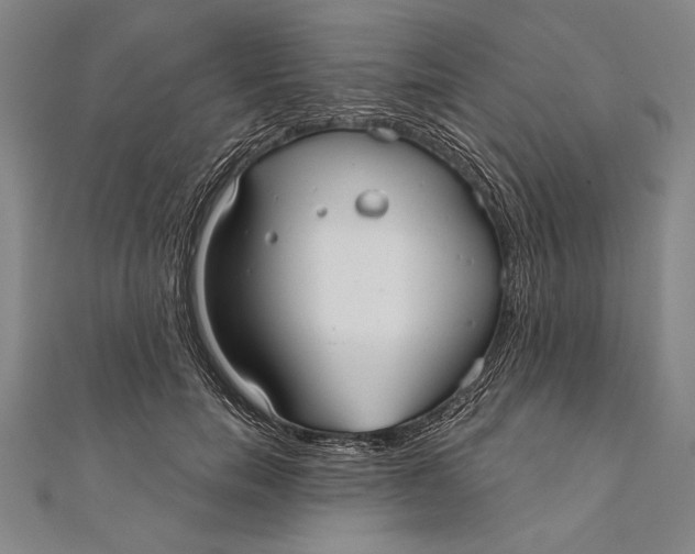 X0000111000750200907101452