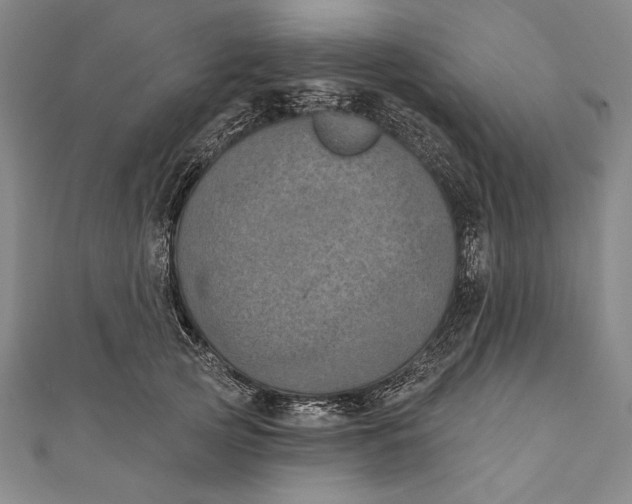 X0000111000753200907101452