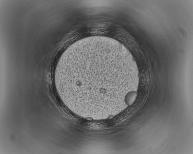 X0000111000755200907101452