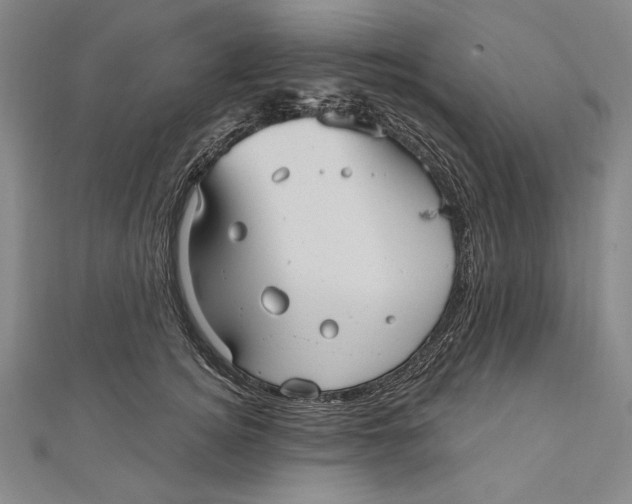 X0000111000756200907101452