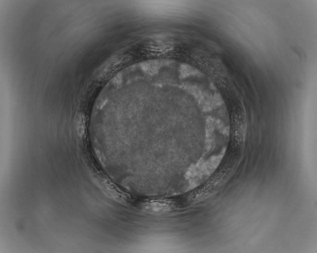 X0000111000758200907101452