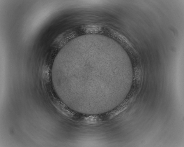 X0000111000761200907101452