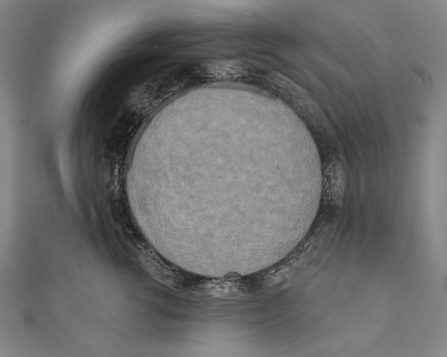 X0000111000762200907101452