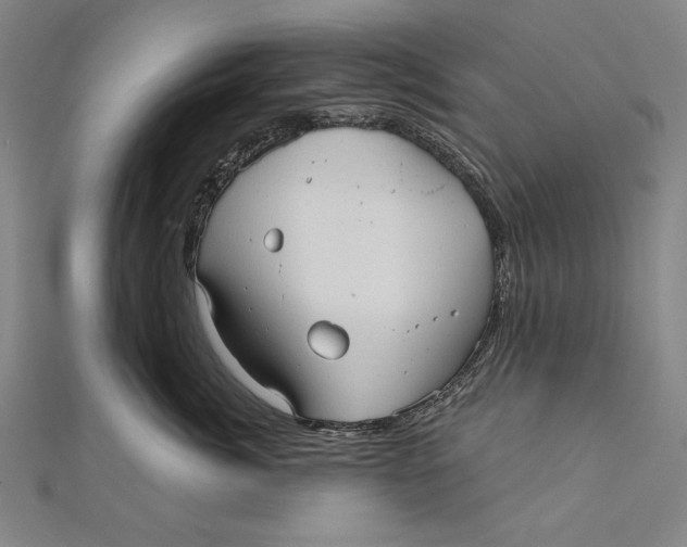 X0000111000764200907101452