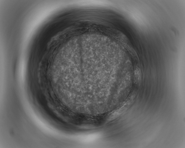 X0000111000765200907101452