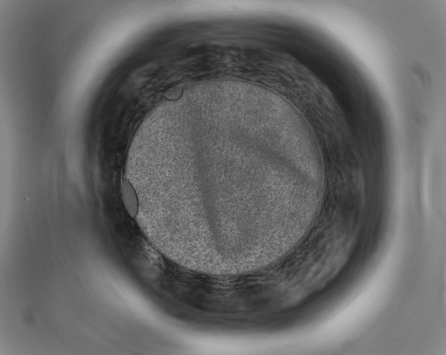 X0000111000766200907101452