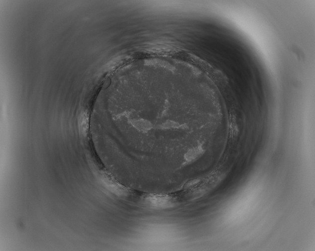 X0000111000767200907101452