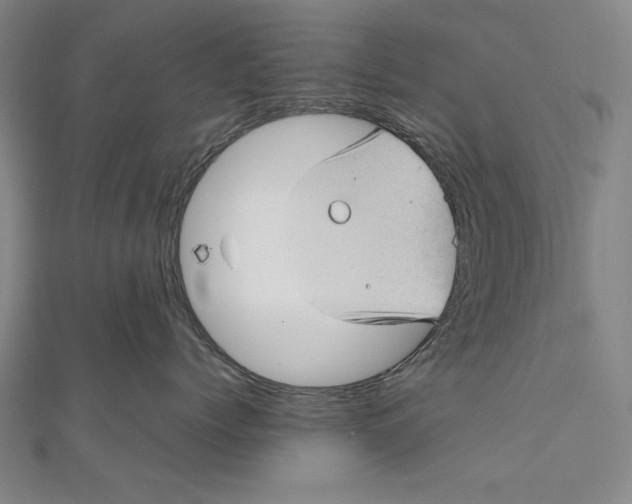 X0000111000768200907101452