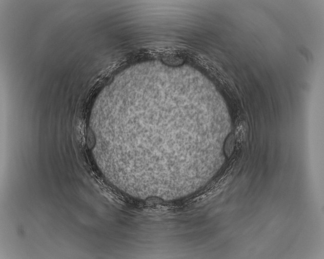 X0000111000772200907101451