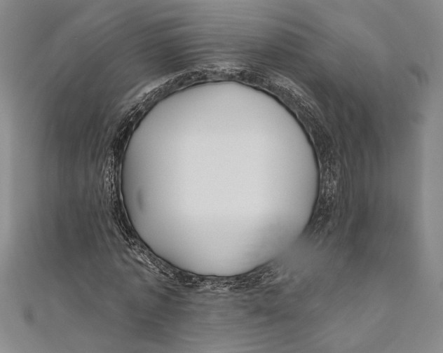 X0000111000773200907101451