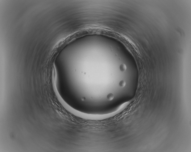 X0000111000775200907101451