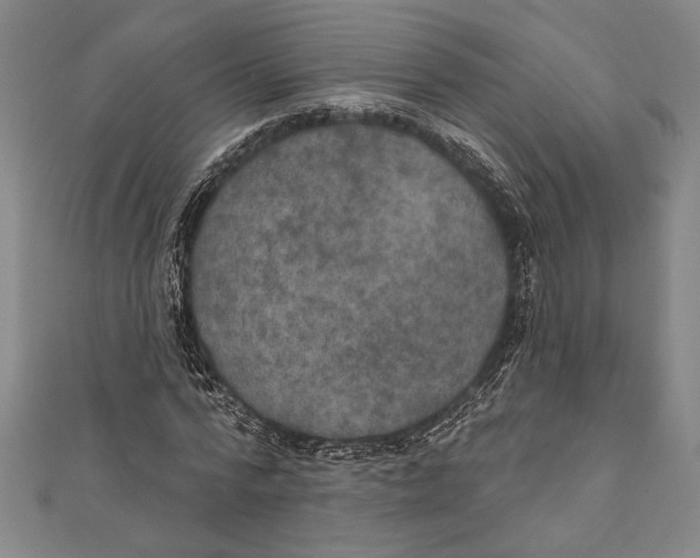 X0000111000776200907101451