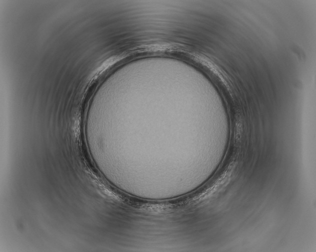 X0000111000778200907101451