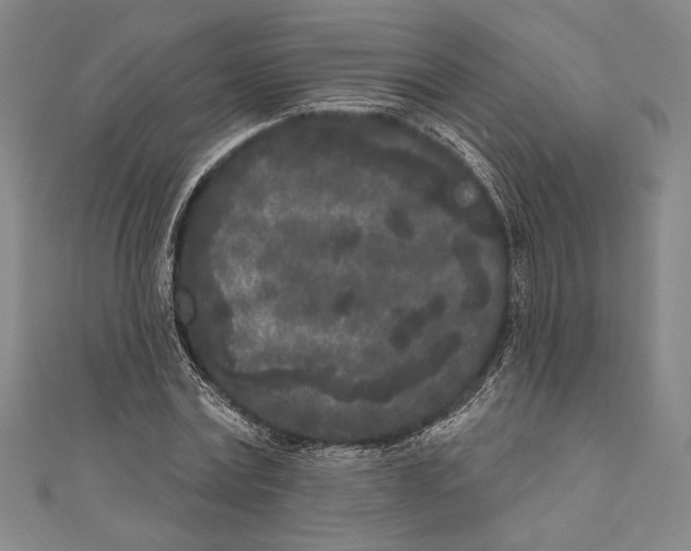 X0000111000779200907101451