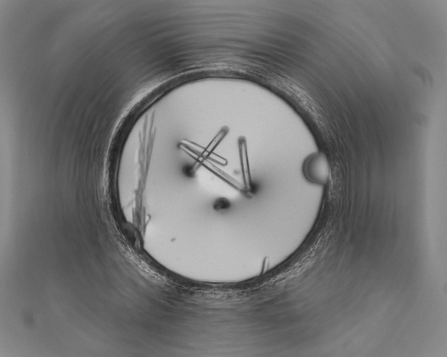 X0000111000780200907101451