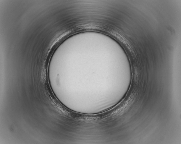 X0000111000782200907101451