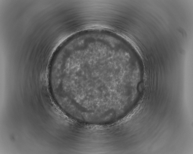 X0000111000783200907101451