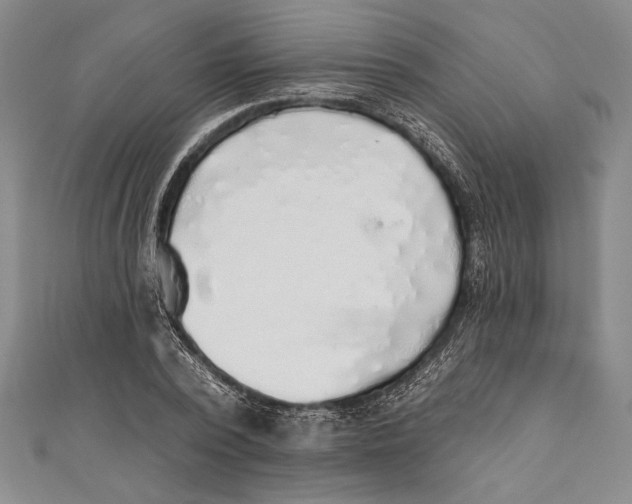 X0000111000784200907101451