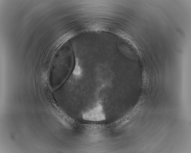 X0000111000785200907101451