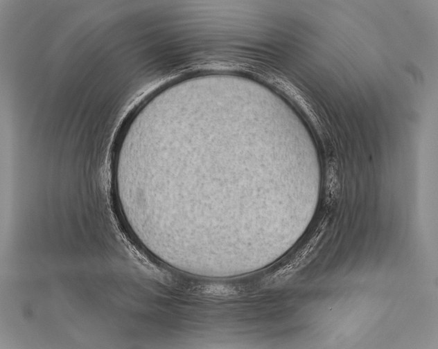 X0000111000787200907101451