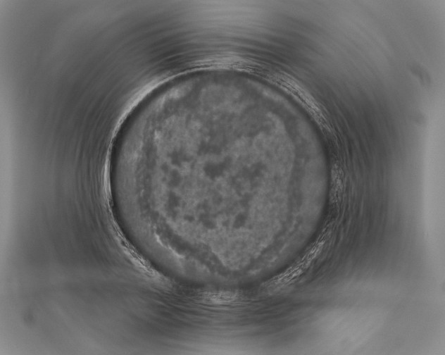 X0000111000788200907101451