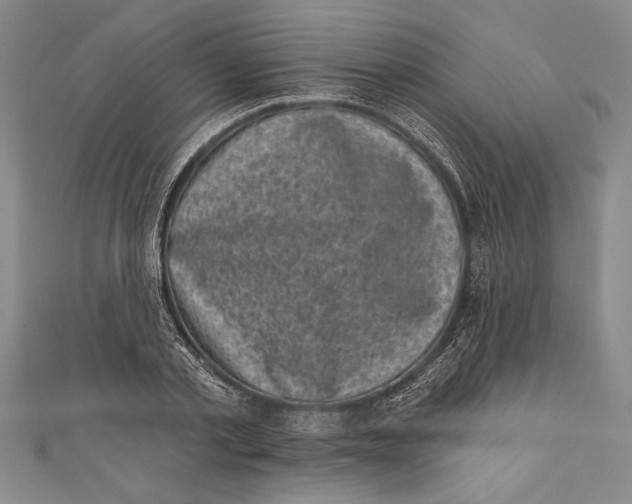 X0000111000789200907101451